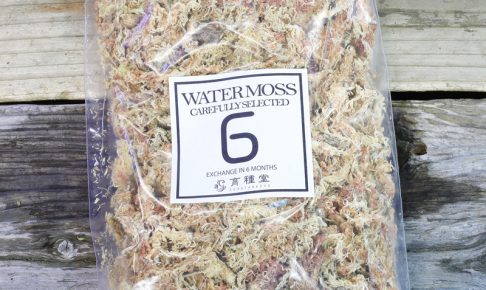 ［水苔］Watermoss carefully selected exchange in 6 months